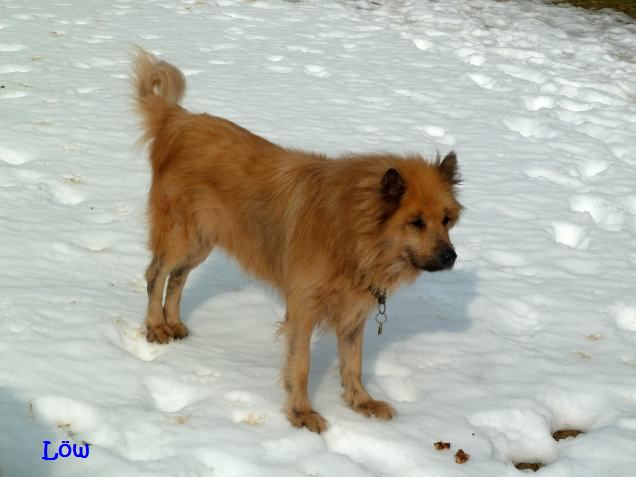 15.02.2015 - Spaziergang im Schnee